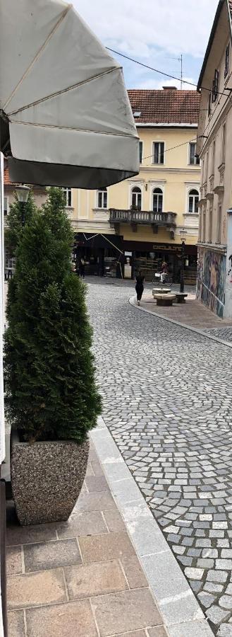Aparthotel Cross Street 4 Ljubljana Eksteriør billede